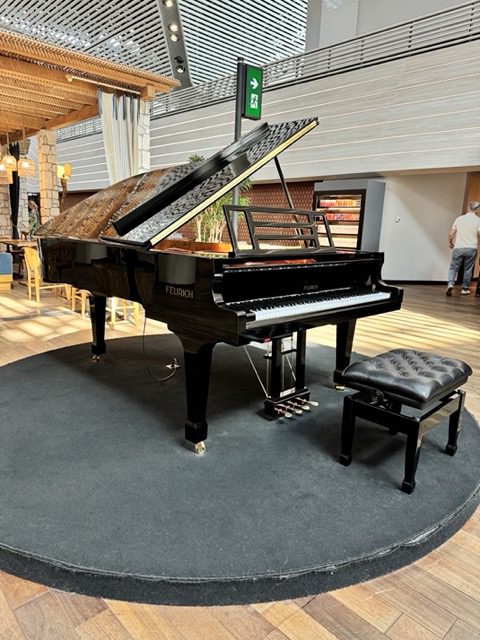 turkish airlines lounge istanbul airport piano at entrance